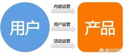 大學(xué)專業(yè)選擇指南 數(shù)字內(nèi)容制作服務(wù)與互聯(lián)網(wǎng)運(yùn)營